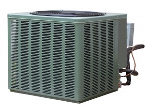 10751236_xl