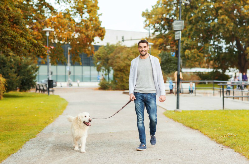 The Benefits of a Dog Walker in New York