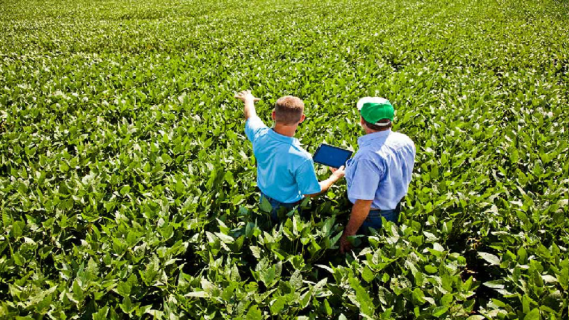 Businesses in the USA Achieve Real Climate Impact by Embracing Carbon Credits Solutions
