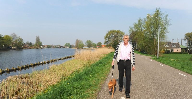 Benefits of Hiring Someone for Dog Walking and Boarding in New York