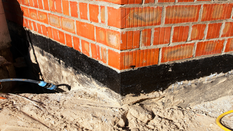 Hiring a Professional for Flood Cleanup in Fort Collins, CO