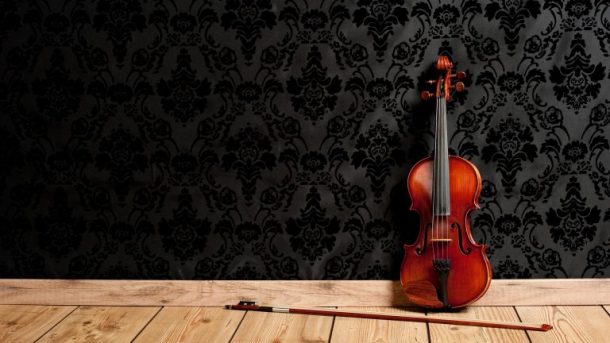Purchase a Beautiful Gewa Pure Violin Case Today