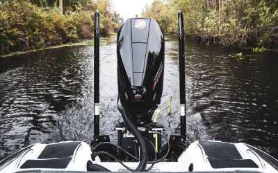 Information Fishing Guides Near Minnesota Should Know
