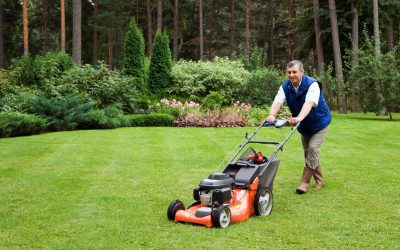 The Benefits Homeowners Gain From Aeration Services Charlotte NC for Lush Lawns