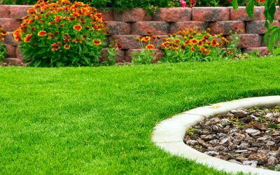 Achieve Stunning Curb Appeal with a Commercial Landscaping Contractor In New Jersey Today