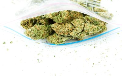 Understanding if THCA Vapes Are Safe for American Consumers Seeking Healthier Alternatives