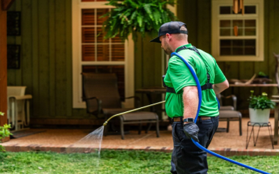 Common Lawn Problems Solved By A Professional Weed Control Company In Huntsville, AL